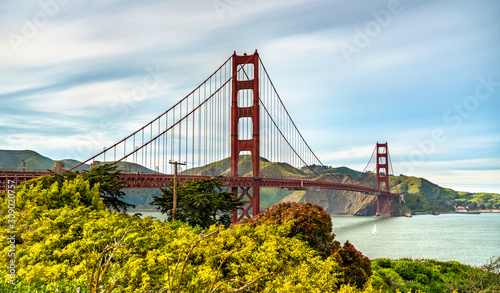 Dekoracja na wymiar  most-golden-gate-w-san-francisco-w-kalifornii
