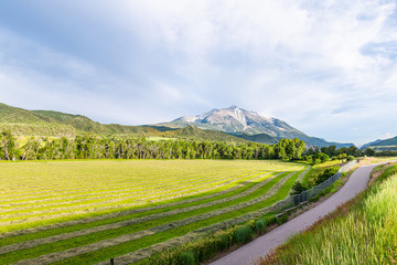 Carbondale, USA with view of mount Sopris and farm ranch in Colorado with road and nobody view of snow mountain peak