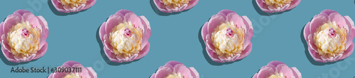 Patern pink peonies with a yellow center