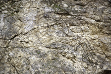 Rocky Mountain Texture