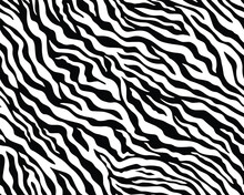 Full Seamless Wallpaper For Zebra And Tiger Stripes Animal Skin Pattern. Black And White Design For Textile Fabric Printing. Fashionable And Home Design Fit.