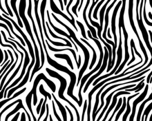 Full Seamless Wallpaper For Zebra And Tiger Stripes Animal Skin Pattern. Black And White Design For Textile Fabric Printing. Fashionable And Home Design Fit.