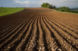 cultivated land prepared for sowing, Teočin, Serbia