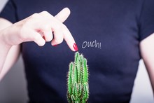 Female Hand With Red Nail Polish And Green Cactus. Ouch. Prickly Prick. Dangerous Touch Concept. Black Background