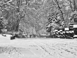 Wall Mural - Road in Snow