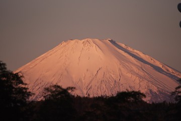 Poster - Mt. Fuji in early winter in a snow-covered top