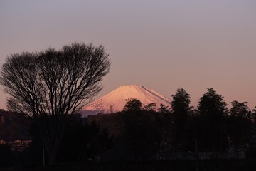 Poster - Mt. Fuji in early winter in a snow-covered top