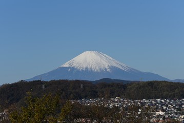 Poster - Mt. Fuji in early winter in a snow-covered top