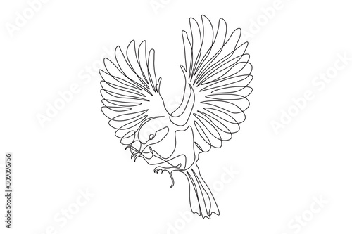 Cuadros en Lienzo Continuous one line, drawing of birds hand-drawn, simple lines, illustration, lo