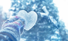 Icy Heart In Hand. Concept Of Love, Romantic, February 14, Valentine's Day, Winter Season Holiday. Atmosphere Winter Image. Frozen Heart. Copy Space