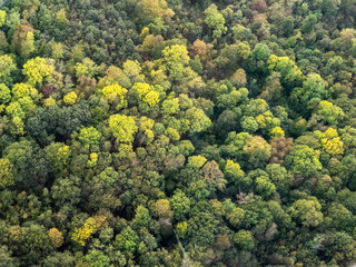 Wall Mural - vue aérienne de la forêt à l'automne à  Lainville-en-Vexin dans le Val d'Oise en France