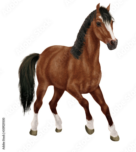 Cheval De Face Animal Isole Noir Etalon Blanc Trois Quart Mammifere Poulain Ferme Chevalin Chataigne Tete Nature Galop Arabe Sauvage Course Amoureux Des Chevaux Portrait Debout Stock Illustration Adobe Stock Cheval De Face Animal Isole Noir Etalon Blanc Trois Quart Mammifere Poulain Ferme Chevalin Chataigne Tete Nature Galop Arabe Sauvage Course Amoureux Des Chevaux Portrait Debout Stock Illustration Adobe Stock