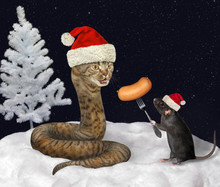 The Black Rat In A Red Santa Claus Hat Is Feeding The Beige Cat Snake With Sausage In The Winter Wood At Night.