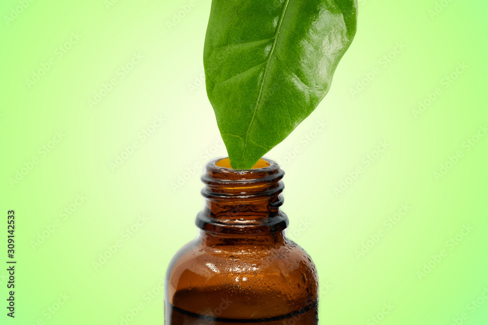 bottle of essential oil with leaves isolated on green background  - obrazy, fototapety, plakaty 