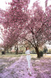 © ElenaBatkova - Wide angle photo of a woman in white jeans in a pink garden with trees dotted with cherry blossoms.