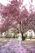 © ElenaBatkova - Wide angle photo of a woman in white jeans in a pink garden with trees dotted with cherry blossoms.