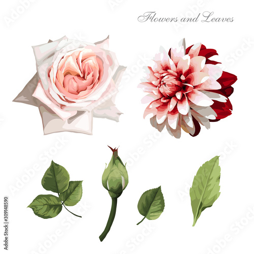Flowers and leaves, watercolor, can be used as greeting card, invitation card...