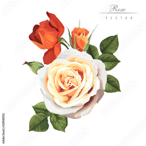 Bouquet of roses, watercolor, can be used as greeting card, invitation card f...
