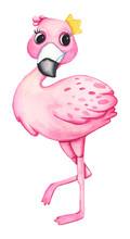 Watercolor Hand Drawn Cute Flamingo With Gold Crown Illustration . Valentines Day Clipart. 