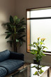 © LIGHTFIELD STUDIOS - Interior on living room with blue sofa and plants