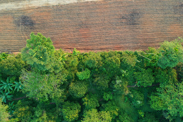 Wall Mural - Aerial drone photo of logging and deforestation