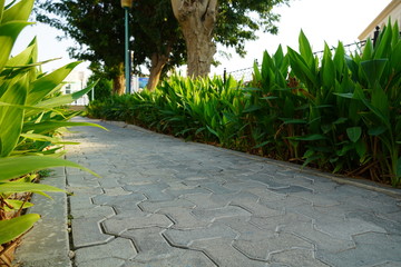 Scenic view of landscaped path with plants and stones in yard. Backyard of residential house. Stone pedestrian sidewalk going into the distance among Landscaping in home garden. Concrete pavement.