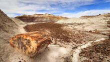 Piece Of Tree Trunk Stem Fossile Amidst The Landscape Of The Petrified Forest National Park In Arizona