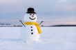 Funny snowman in stylish black hat and yellow scalf on snowy field. Merry Christmass and happy New Year!