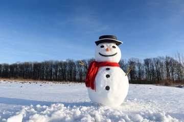 Wall Mural - Funny snowman in stylish black hat and red scalf on snowy field. Merry Christmass and happy New Year!