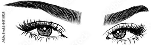 Cuadros en Lienzo Illustration with woman's eyes, eyelashes and eyebrows