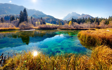 Wall Mural - picturesque autumn scene of julian alps with kranjska gora peak on background. wonderful morning vie