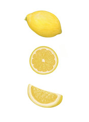 Wall Mural - set of lemons isolated on white background