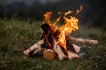 bonfire. orange flame of a fire. bonfire on the grill with smoke. bonfire background. campfire surro