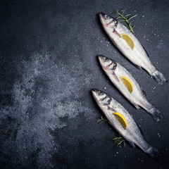 Wall Mural - fresh raw whole sea bass. Raw seabass fish with spices and herbs ingredients. Top view with copy space.