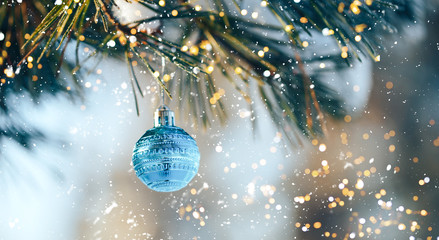 Wall Mural - blue christmas ball on branch of spruce outdoor, happy new year.