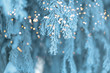 white christmas frosty tree, Merry christmas background with holiday golden bokeh. Winter day. Happy New Year.