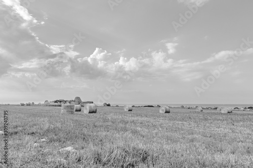 Balle Di Fieno Sulla Riva Del Mare Buy This Stock Photo And Explore Similar Images At Adobe Stock Adobe Stock