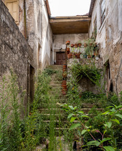 Old Home In The Town Of Viseu In Portugal With Overgrown Garden And Yard