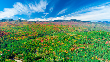 Wall Mural - Autumn gold color forest aerial view.