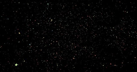 Wall Mural - Natural white winter snowfall on a black background