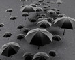 © JohnMichael - umbrellas floating down on pavement