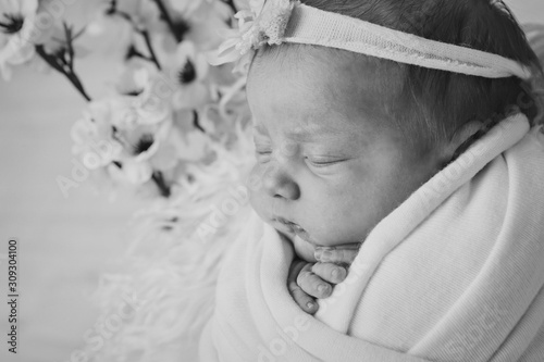 ivf newborn photo