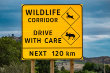 Big Yellow Warning Road Sign, Wildlife Corridor, Drive With Care, The Next 120 Km. With Deer And Moose Symbols, On The Canadian Rural Roadside