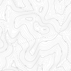 Wall Mural - background of topographic line contour map, geographic grid map.