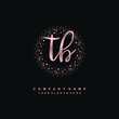 © VOKE VICTORI - TB Beauty vector initial logo, handwriting logo of initial signature, wedding, fashion, jewerly, boutique, floral and botanical with creative template for any company or business