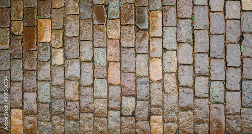 Fotomural wet stone paving stone tiles after rain