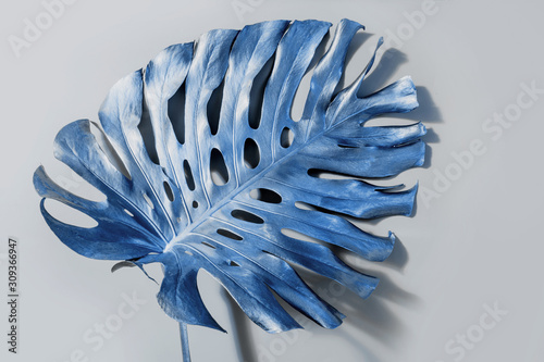 classic-blue-tropical-palm-leaf-monstera-on-pastel-grey-abstract-pattern-for-design-trendy-color-2020