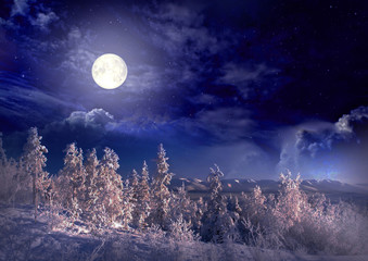 Wall Mural - night landscape with moon