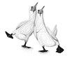 deux fous de bassans marchent ensemble en noir et blanc