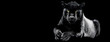 Leinwandbild Motiv Jaguar with a black background